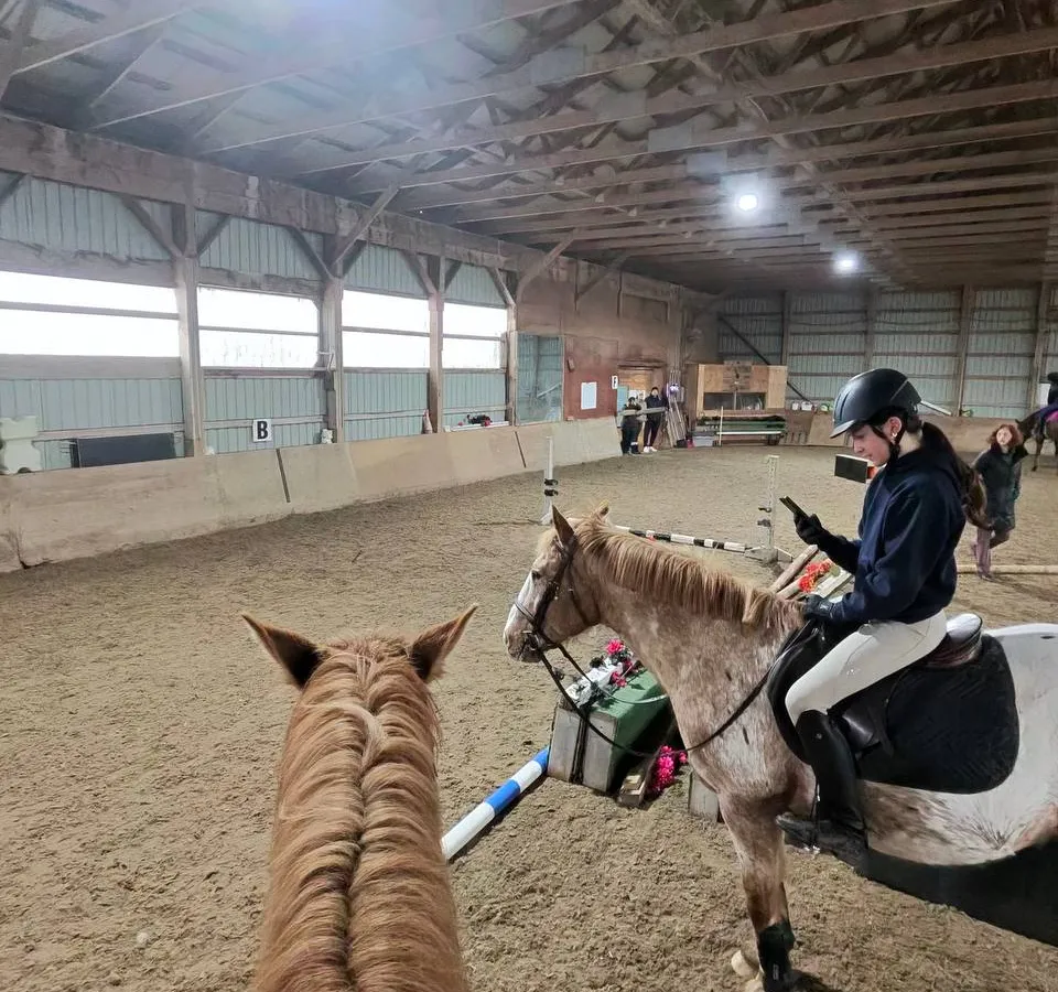 Horse riding academy training session showcase